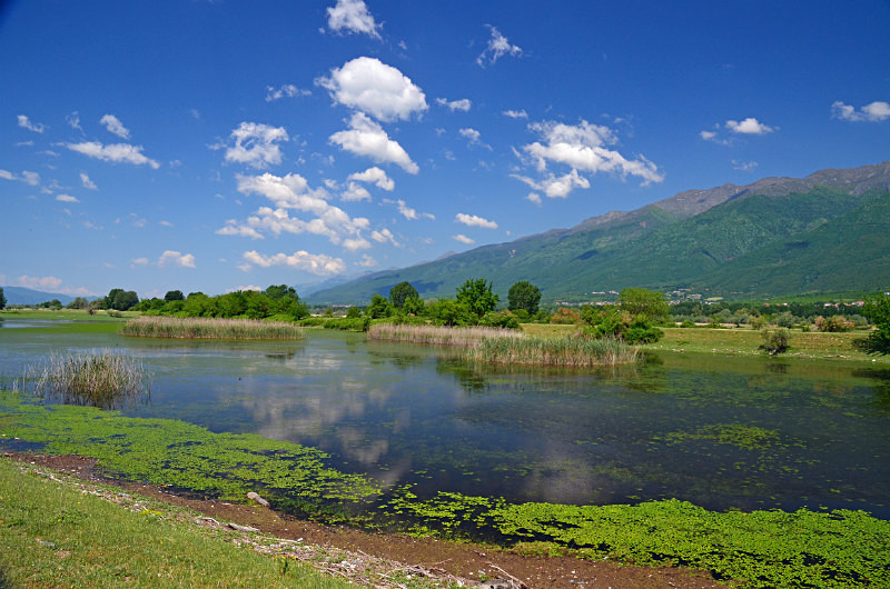 Lake Kerkini, Central Macedonia, Greece - Central Macedonia