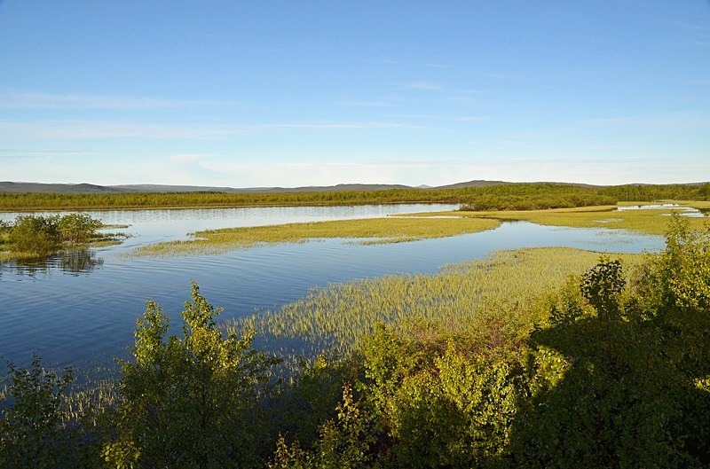 Skrøytnes, Pasvikdalen, Troms og Finnmark, Norway - North Norway