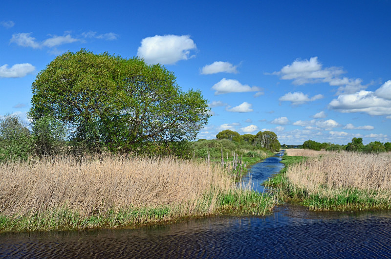 Aardla polder, Estonia - Estonia