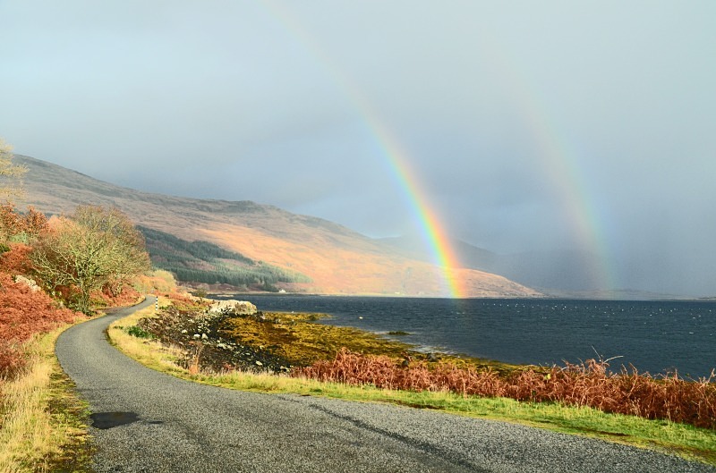  - Rainbows