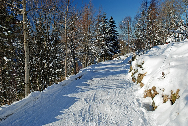 Fløyfjellet, Bergen - Bergen and Oslo