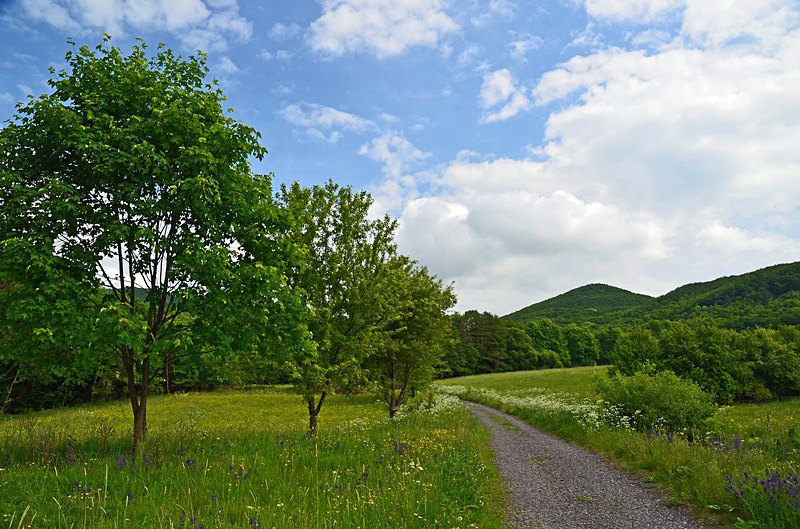Füzér, Borsod-Abaúj-Zemplén county, Hungary - Hungary