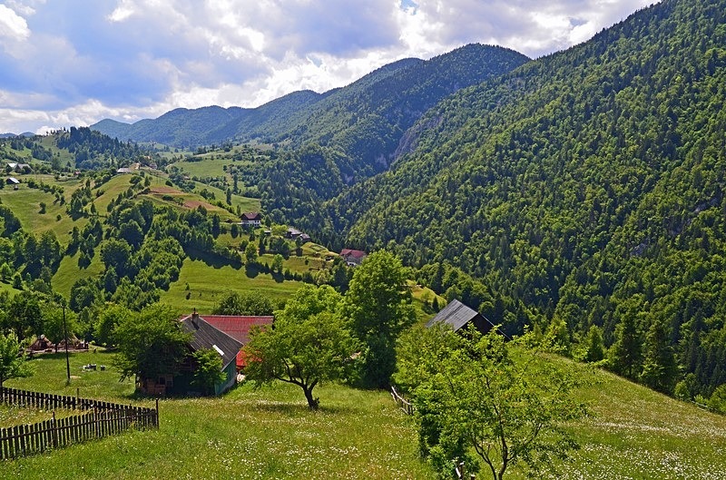 Piatra Craiului Mountains, Brașov County, Romania - Romania