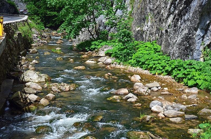 Bicaz Gorge, Neamţ and Harghita Counties, Romania - Romania