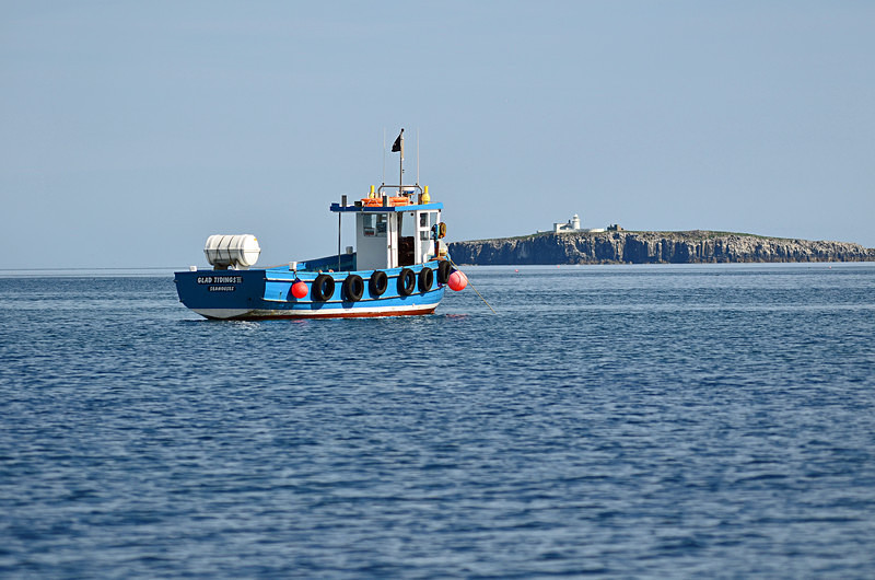 Inner Farne, Farne Islands, Northummberland - Sea and sand