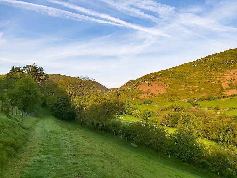 RWT Gilfach, Powys - Mountains and uplands