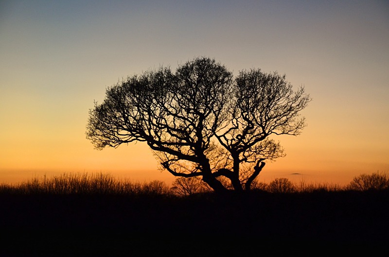  - Sunsets and sunrises