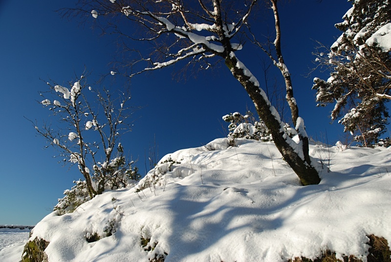 Fløyfjellet, Bergen - Bergen and Oslo
