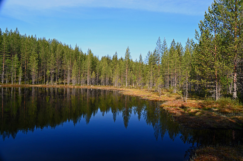 Vartius to Suomussalmi, Kainuu, Finland