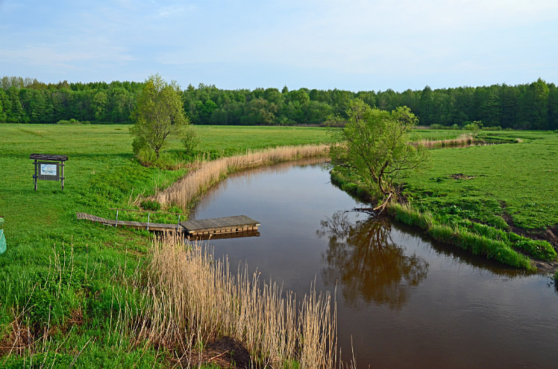 Soomaa National Park, Estonia - Estonia