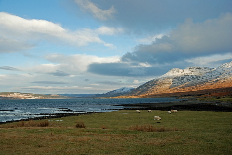 Loch na Keal, Mull, Argyll - Sea and sand