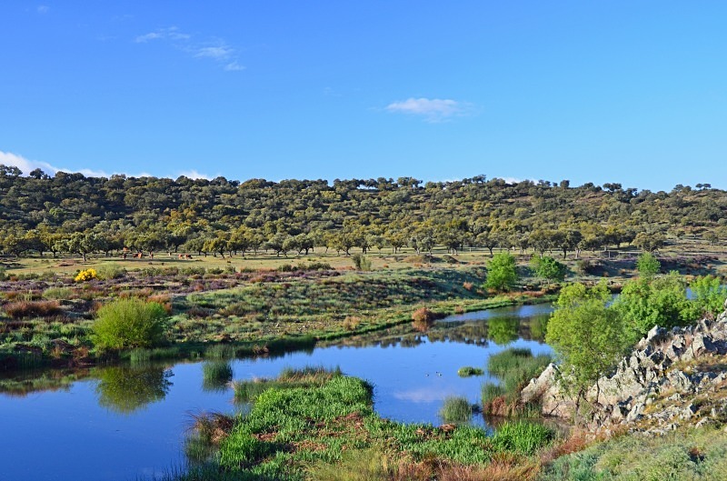 Rio Salor, western Cáceres, Extremadura, Spain - South and west Spain - April and May 2012