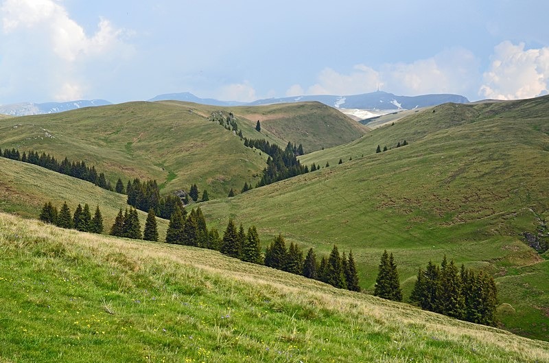 Bucegi Mountains, Prahova County, Romania - Romania