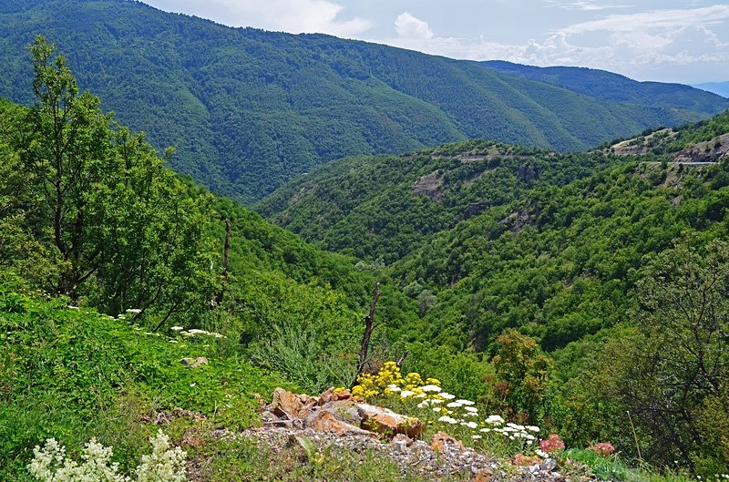 Rila Mountains, Kyustendil Province, Bulgaria - Bulgaria