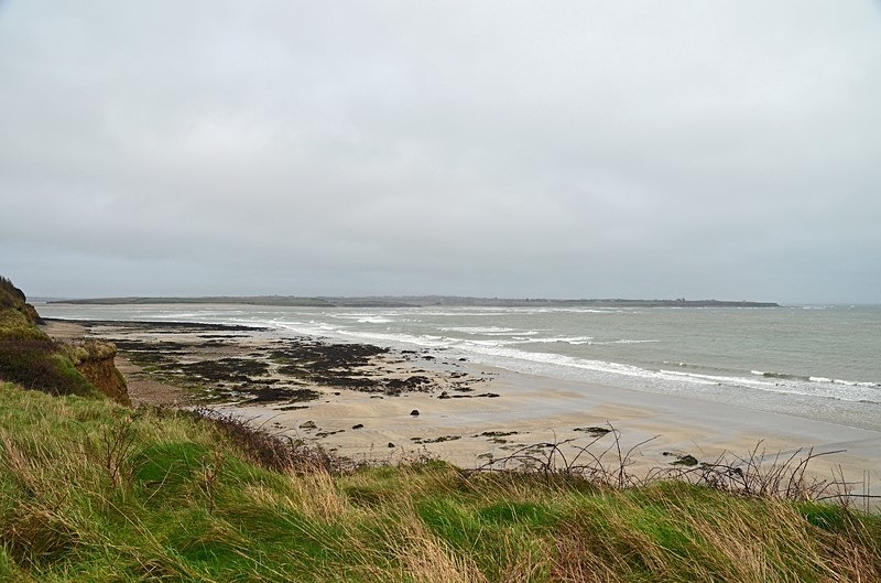  - Ireland - January and February 2020