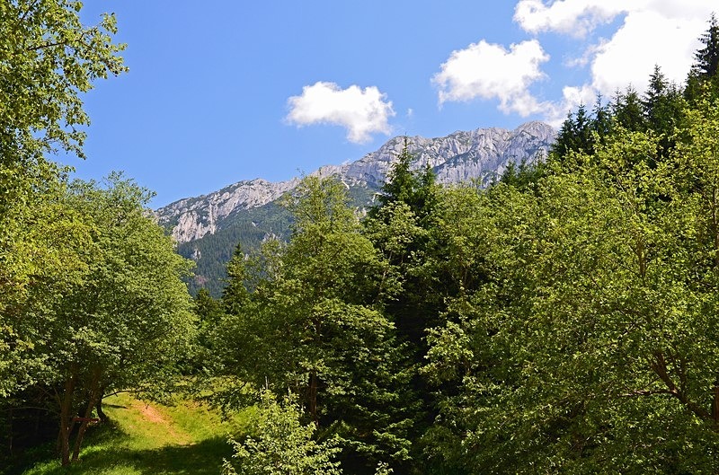 Piatra Craiului Mountains, Brașov County, Romania - Romania