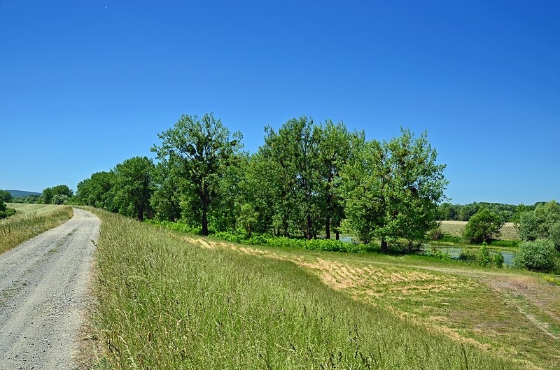 Latorica, Košice region, Slovakia - Slovakia