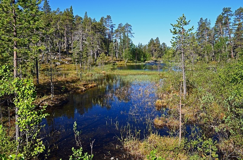 Pasvikdalen, Troms og Finnmark, Norway