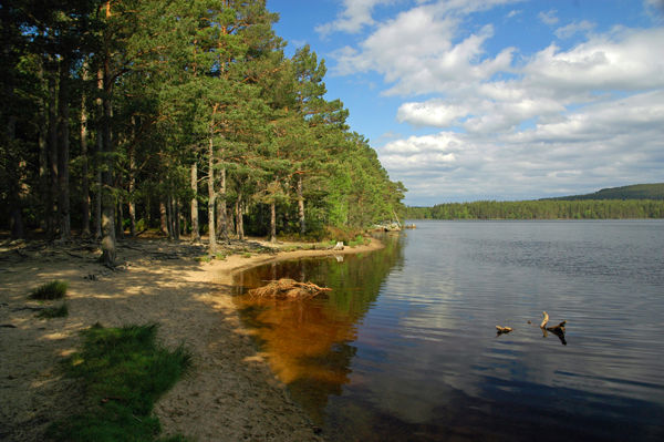 Loch Garten, Highland - Lakes and lochs