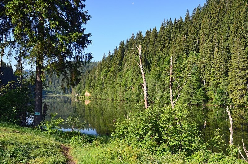Lacu Roșu, Harghita County, Romania - Romania