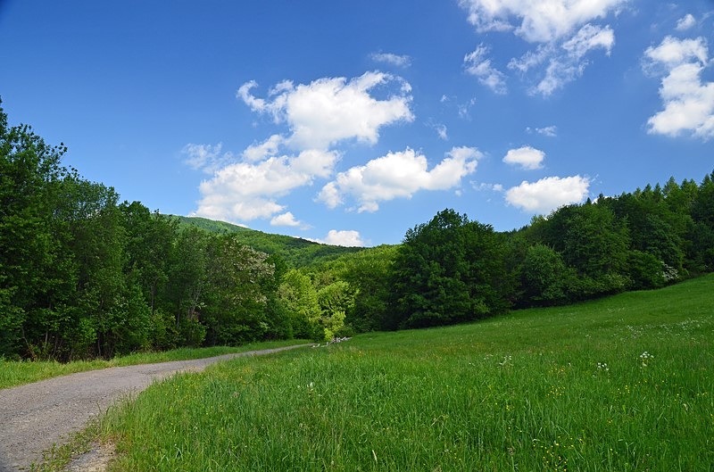 Vihorlat Mountains, Košice region, Slovakia - Slovakia