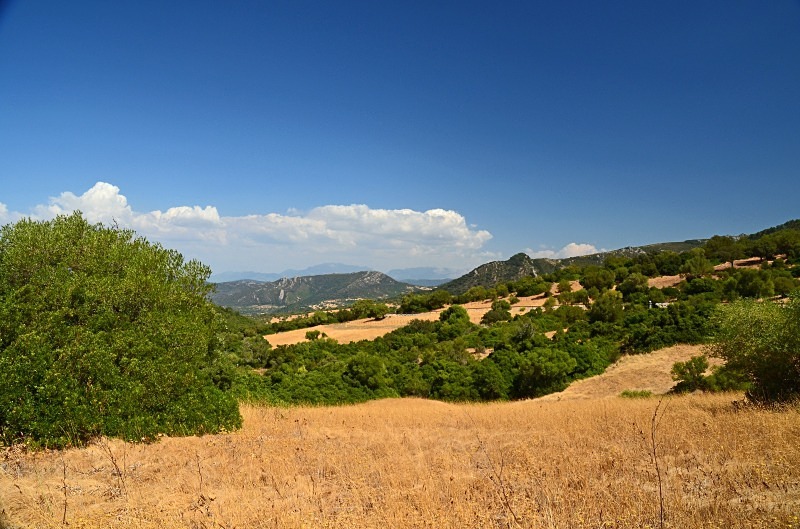 Los Alcornocales, Andalucia, Spain - South Spain - September 2013