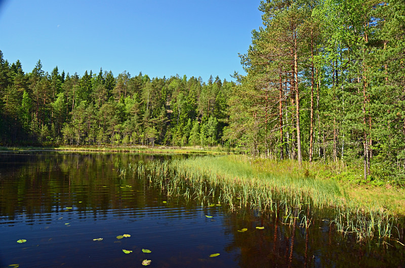 Nuuksio National Park, Uusimaa, Finland - North east Finland