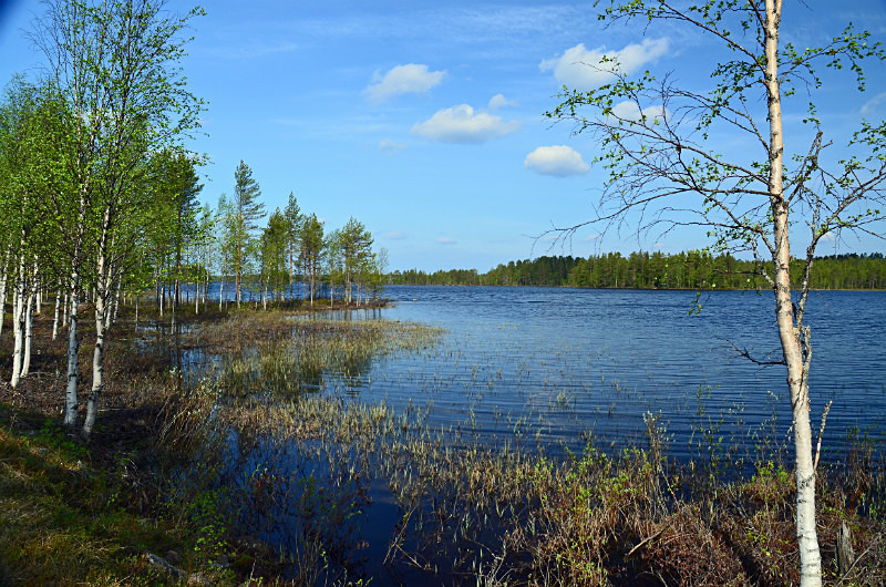 Suomussalmi to Kuusamo, Kainuu/Pohjois-Pohjanmaa, Finland - North east Finland