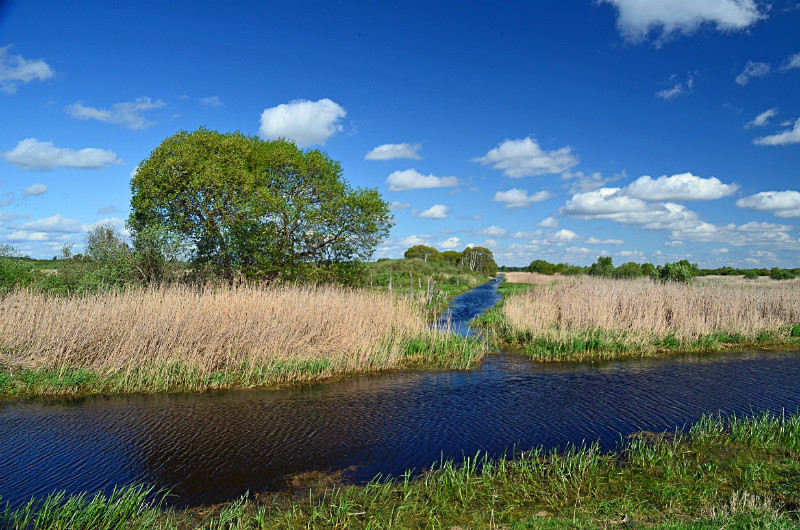 Aardla polder, Estonia - Estonia
