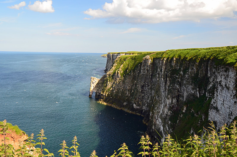 Bempton Cliffs, East Yorkshire - Sea and sand