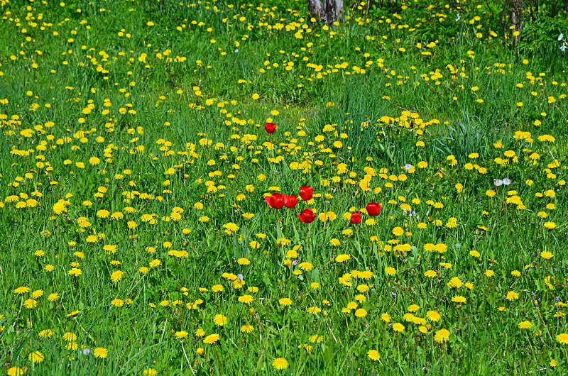 Endla Nature Reserve, Estonia - Estonia