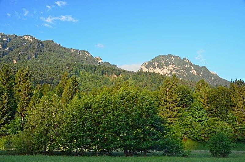 Piatra Craiului Mountains, Brașov County, Romania - Romania