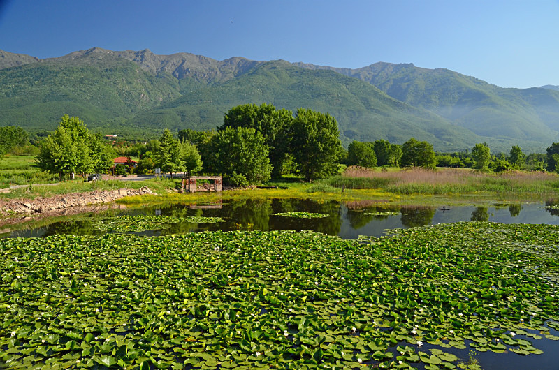 Lake Kerkini, Central Macedonia, Greece - Central Macedonia