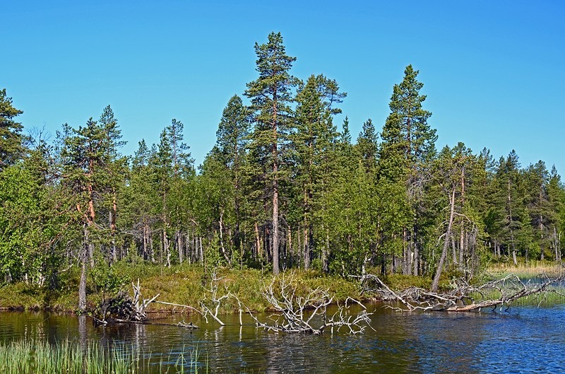 Pasvikdalen, Troms og Finnmark, Norway - North Norway
