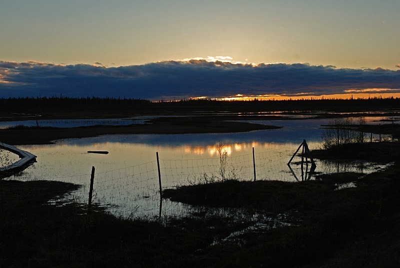 Midnight sun at Petkula Bog, Lappi, Finland - North Finland and north Norway - May and June 2009