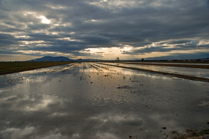 Delta de l’Ebre, Catalunya, Spain - Catalunya