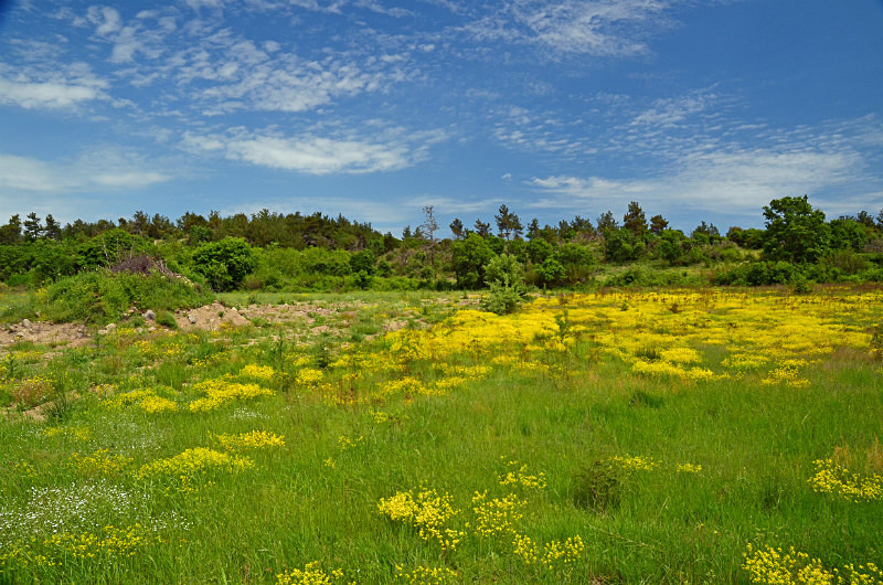 Dadia-Lefkimi-Soufli Forest, East Macedonia and Thrace, Greece - East Macedonia and Thrace