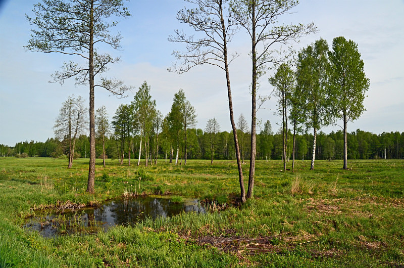 Soomaa National Park, Estonia - Estonia