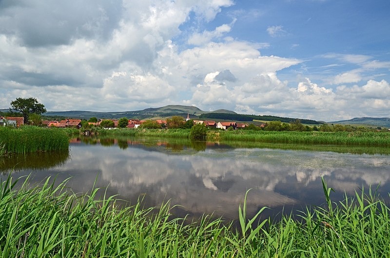 Sânpaul Fishponds, Harghita County, Romania - Romania