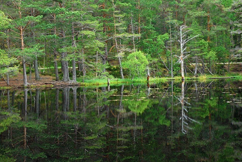 Uath Lochans, Highland - Lakes and lochs