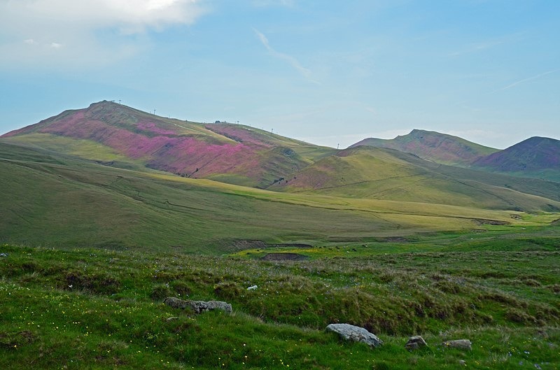Bucegi Mountains, Prahova County, Romania - Romania