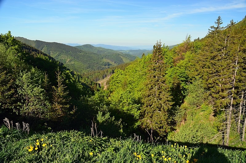 Low Tatras, Slovakia - Slovakia
