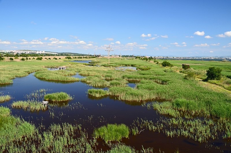 BSPB Poda Protected Area, Burgas Province, Bulgaria - Bulgaria