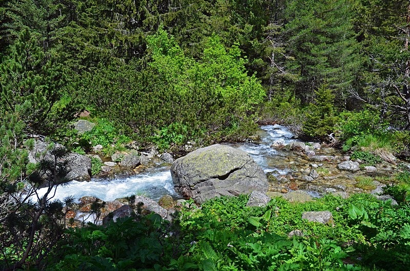 Rila Mountains, Sofia Province, Bulgaria - Bulgaria