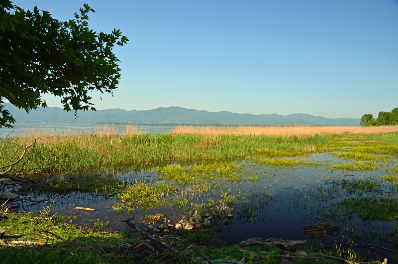 Lake Kerkini, Central Macedonia, Greece - Central Macedonia