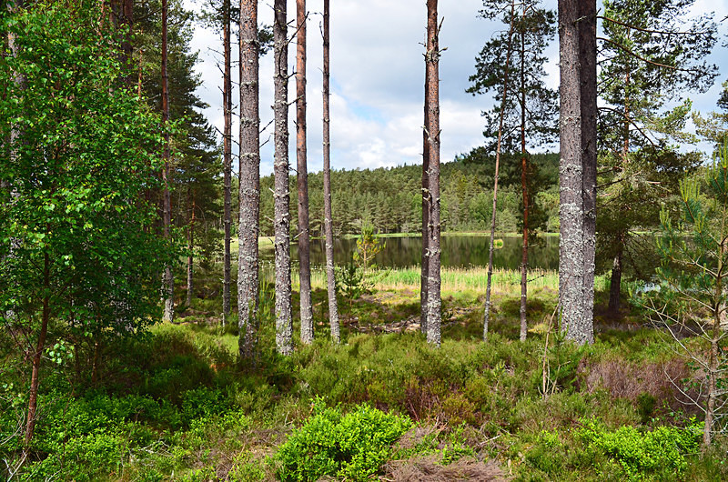 Uath Lochans, Highland - Lakes and lochs