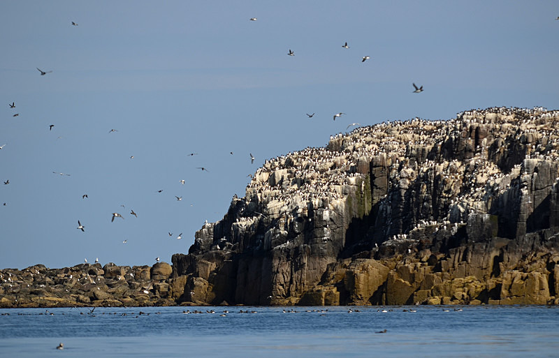 Inner Farne, Farne Islands, Northummberland - Sea and sand
