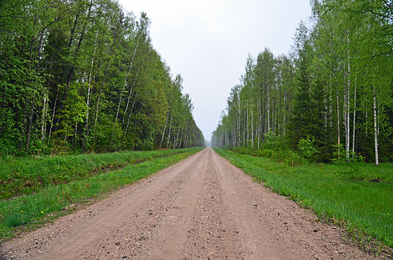 Soomaa National Park, Estonia - Estonia
