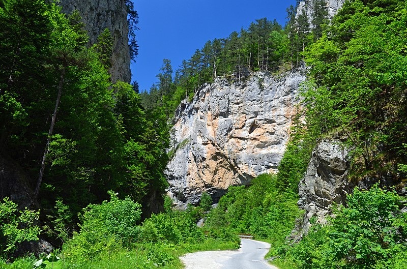 Western Rhodopes Mountains, Smolyan Province, Bulgaria - Bulgaria