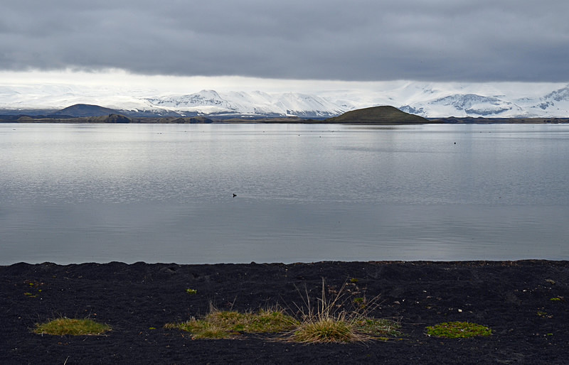 Lake Mývatn, north east Iceland - North east Iceland